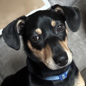 Fundraising Page: ELIZABETH Wauldron